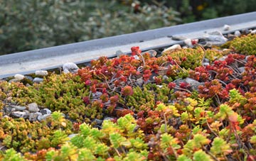 the cost of Glangrwyney green roof installation
