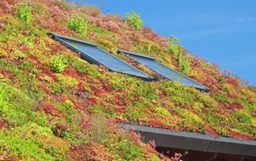 Glangrwyney living roof systems